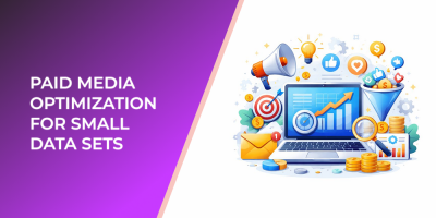 Paid Media Optimization for Small Data Sets