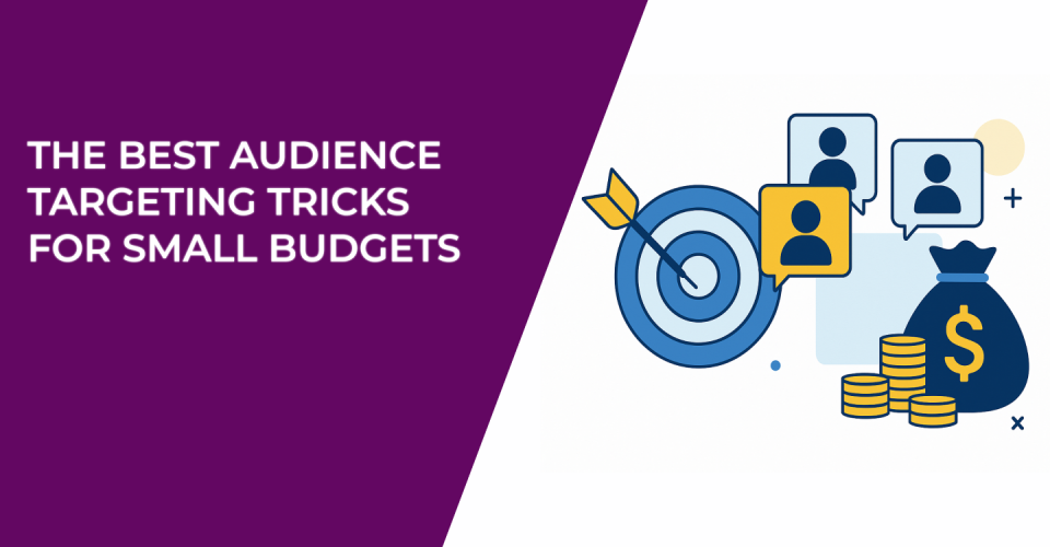 The Best Audience Targeting Tricks for Small Budgets