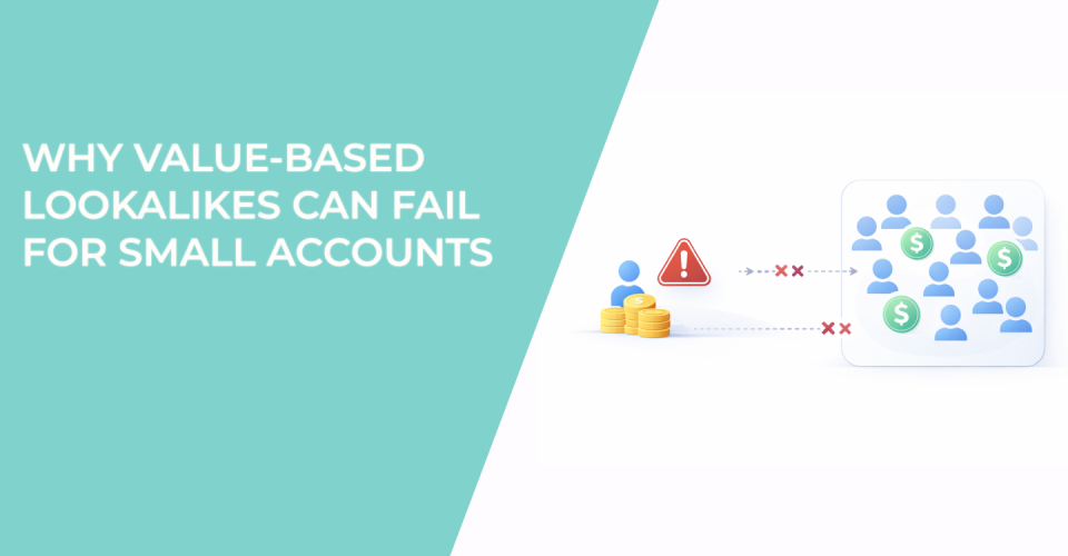 Why Value-Based Lookalikes Can Fail for Small Accounts