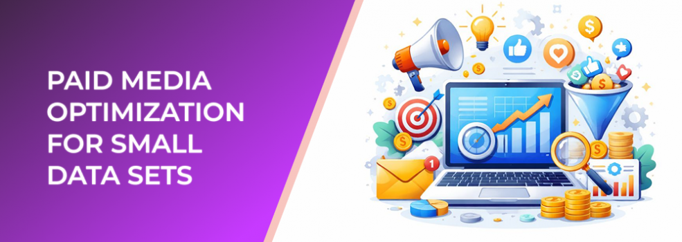 Paid Media Optimization for Small Data Sets
